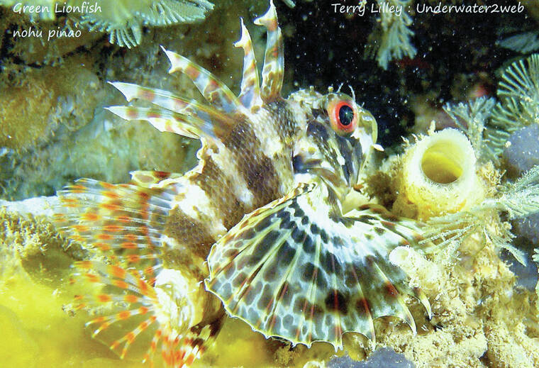 Go88 Trực Tuyến Khám Phá Thế Giới Giải Trí Trực Tuyến Sôi Động