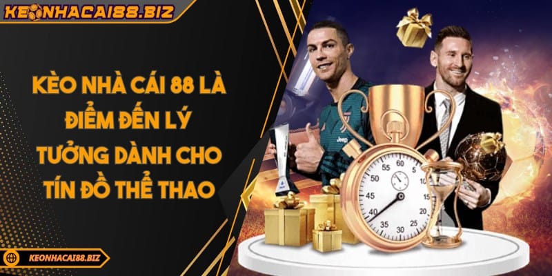 Thấu Hiểu Sức Mạnh Review Cù Lao Chàm 2 Ngày 1 Đêm Con Đường Dẫn Đến Chiến Thắng