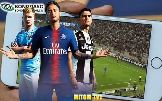 Phimsez – Cổng Thông Tin Thể Thao Và Cá Cược Hàng Đầu